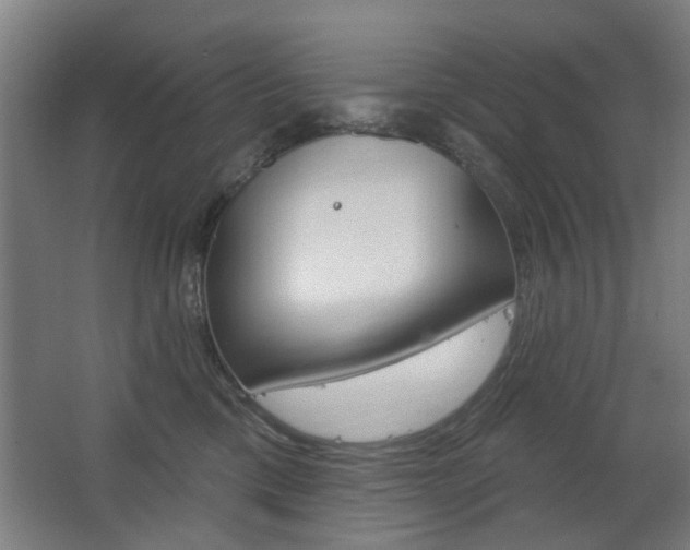 X0000063480425200601201030