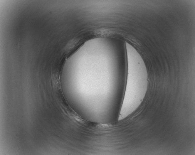 X0000063480429200601201030