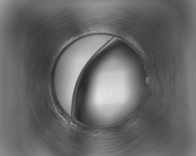 X0000063480434200601201029