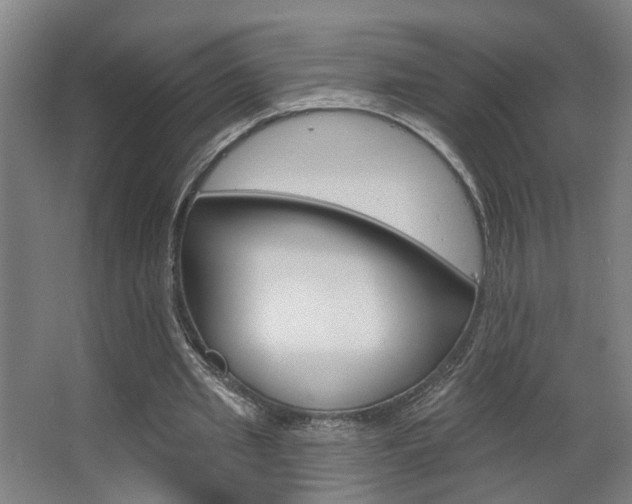 X0000063480437200601201029