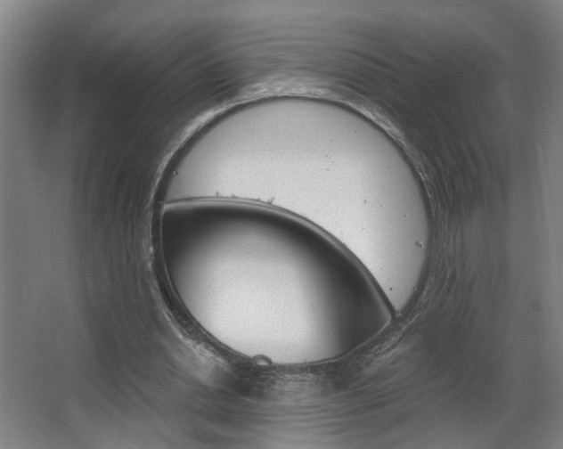X0000063480438200601201029
