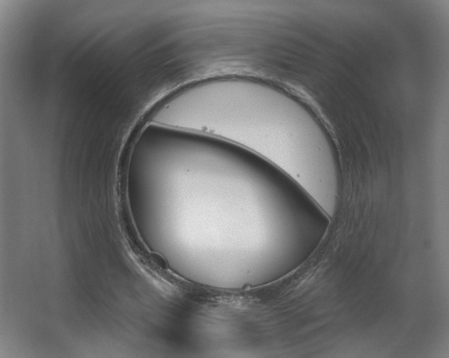 X0000063480439200601201029