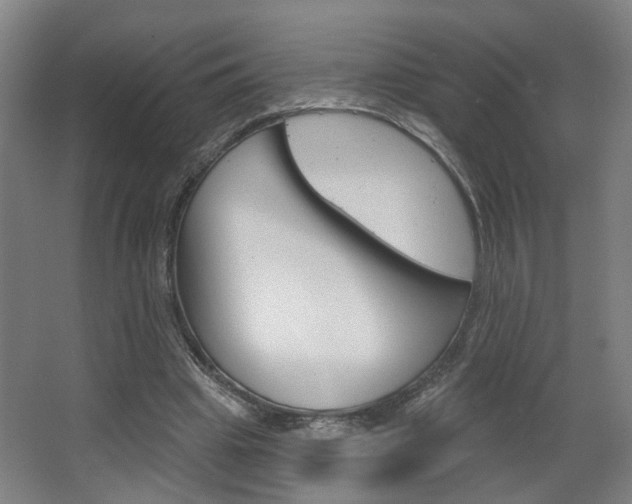 X0000063480441200601201029