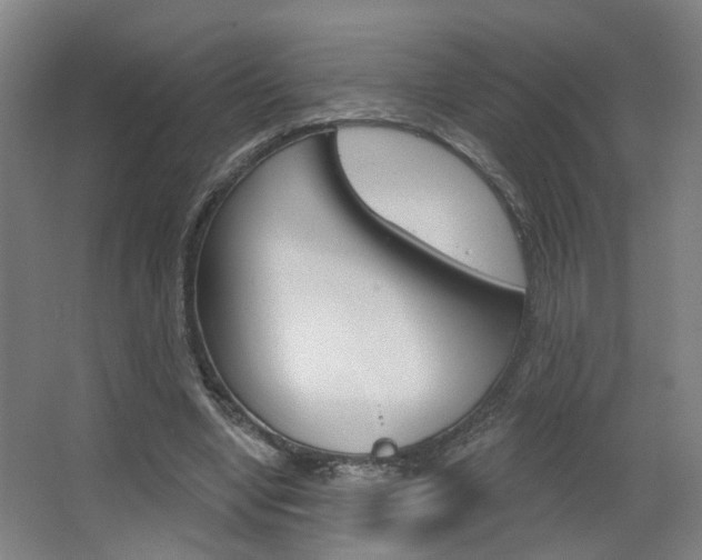 X0000063480442200601201029