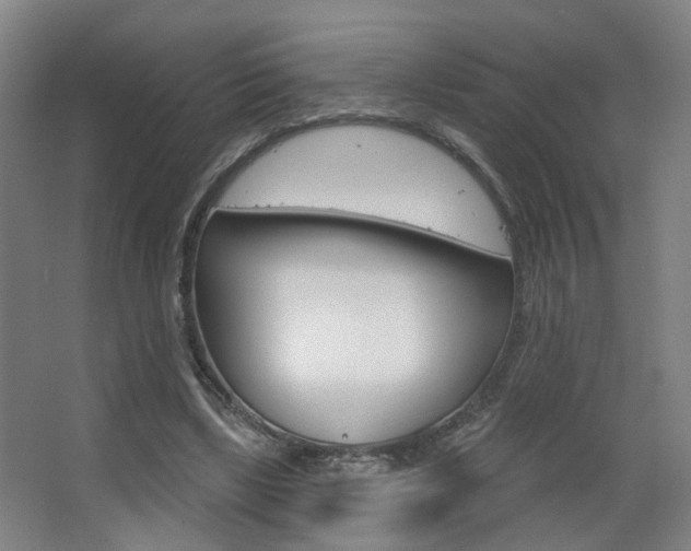 X0000063480443200601201029