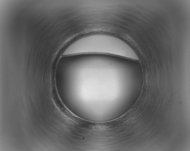 X0000063480444200601201029