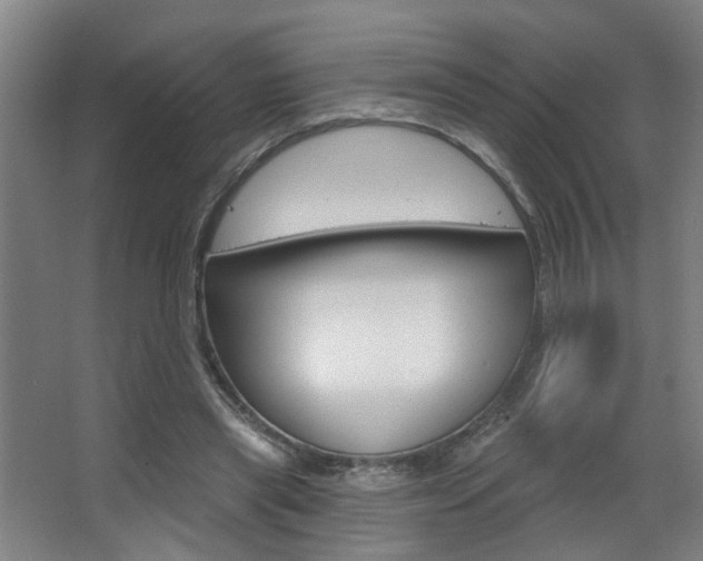 X0000063480445200601201029