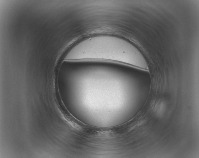 X0000063480446200601201029