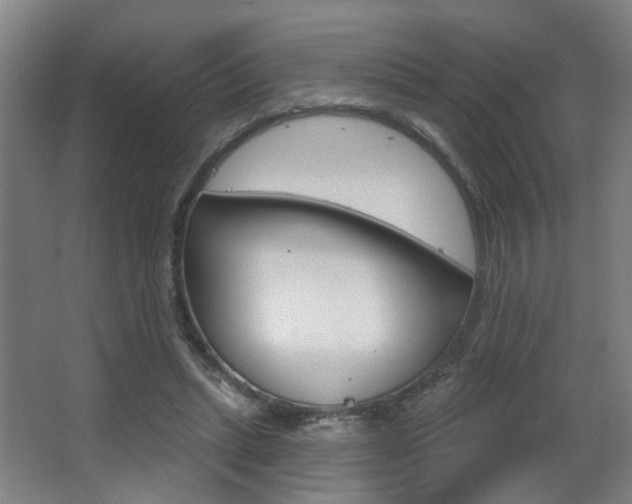 X0000063480447200601201029