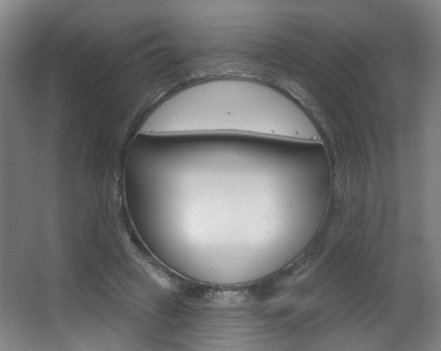 X0000063480449200601201029