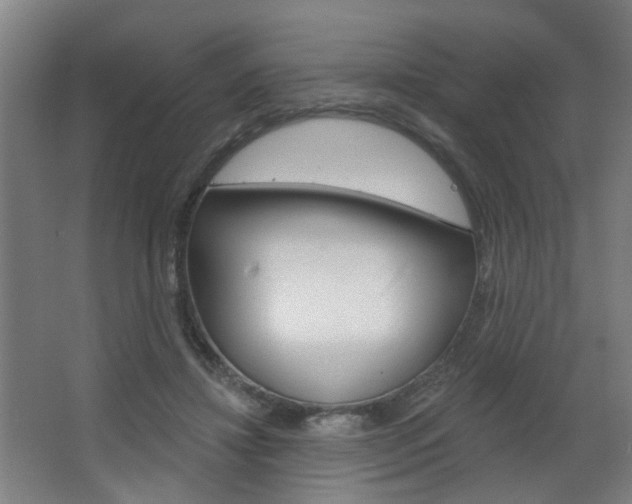 X0000063480452200601201029
