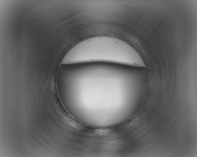 X0000063480457200601201029