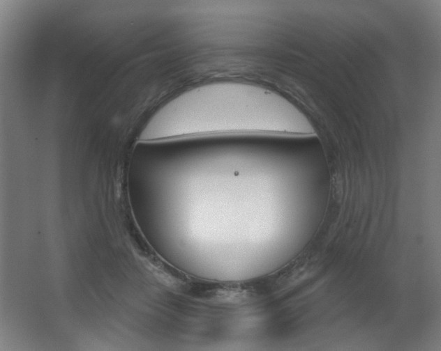 X0000063480458200601201029