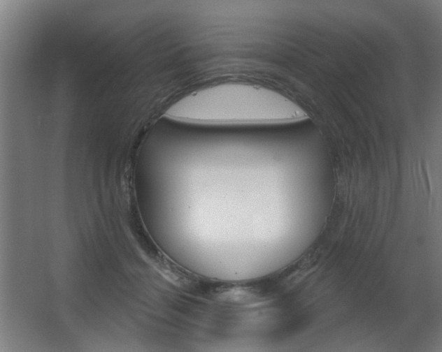 X0000063480460200601201029