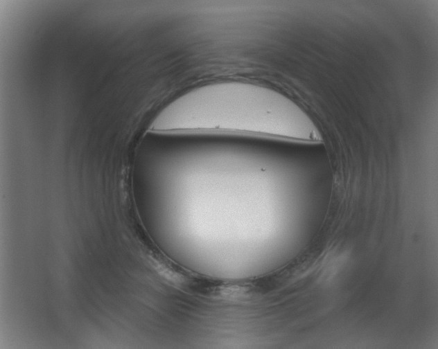 X0000063480462200601201029
