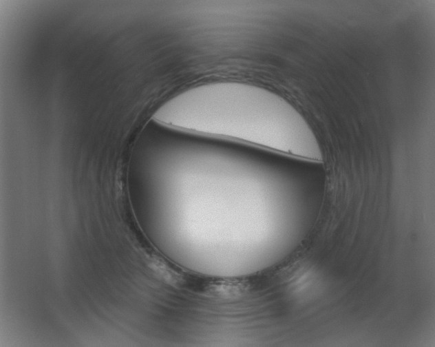 X0000063480466200601201029