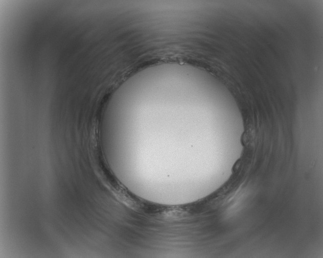 X0000063480468200601201029