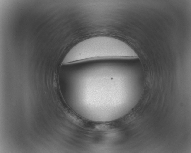 X0000063480470200601201029