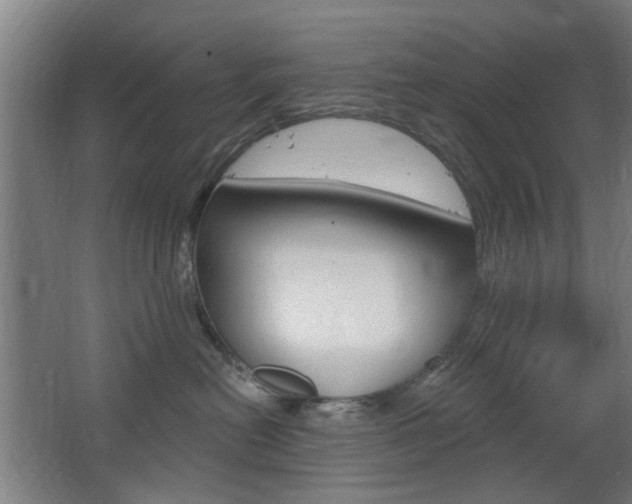 X0000063480478200601201030