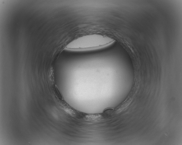 X0000063480480200601201030