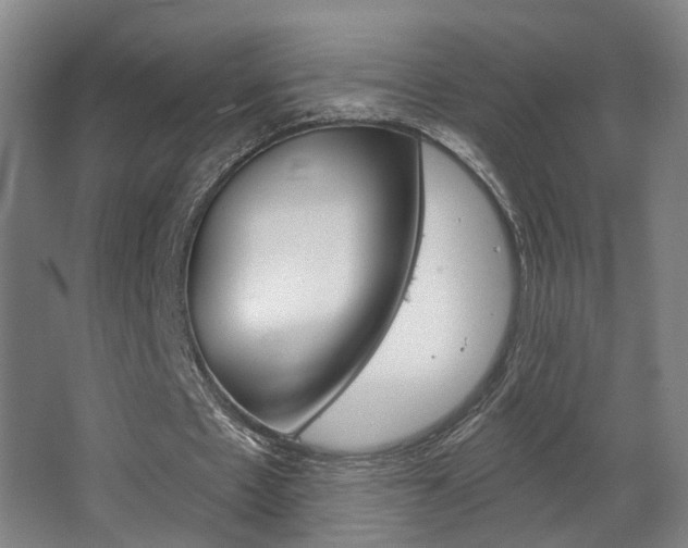 X0000063480481200601201029