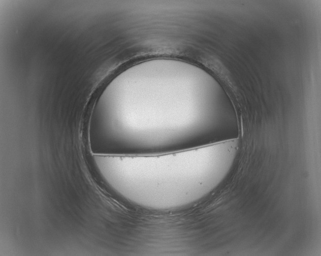 X0000063480483200601201029