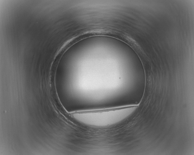 X0000063480484200601201029