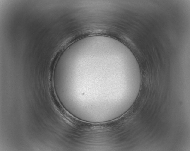 X0000063480490200601201029