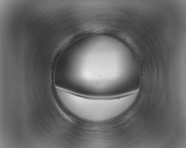X0000063480493200601201029