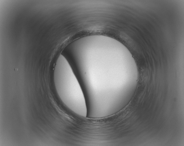 X0000063480494200601201029
