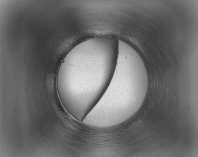 X0000063480495200601201028