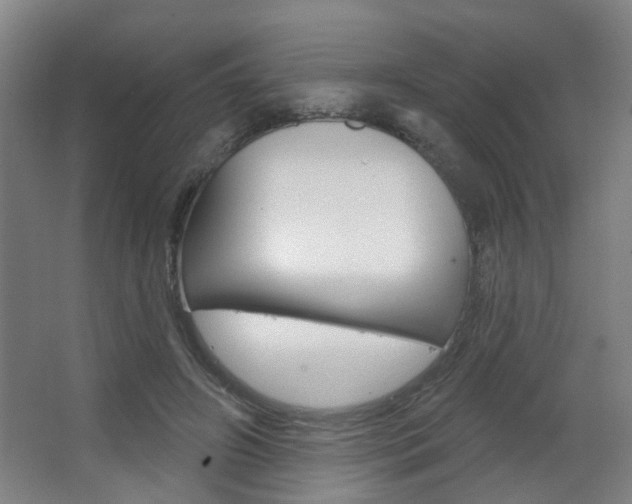 X0000063480498200601201028