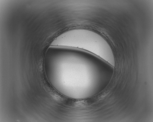 X0000063480505200601201028