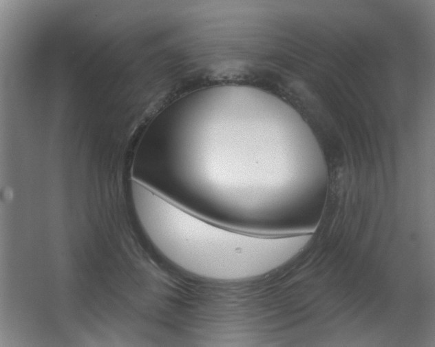 X0000063480508200601201028
