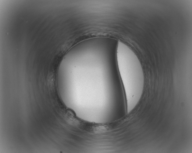 X0000063480513200601201028