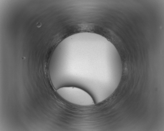 X0000063480514200601201028