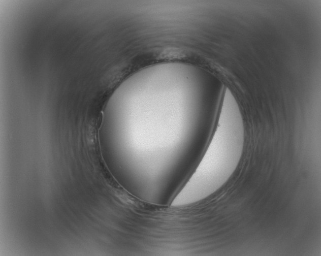 X0000063480517200601201028