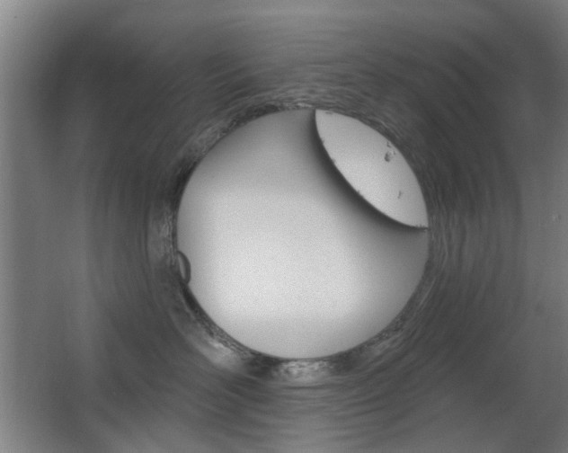 X0000063480526200601201028