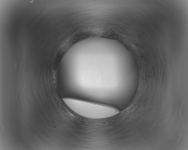 X0000063480528200601201028