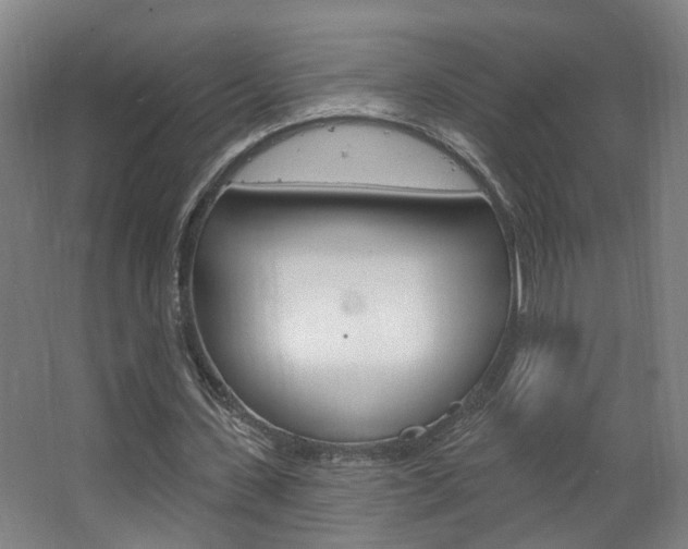 X0000063480531200601201027