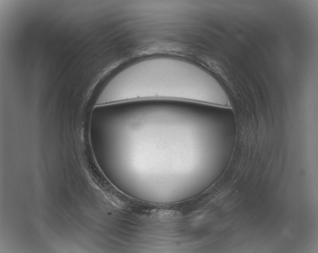 X0000063480539200601201027