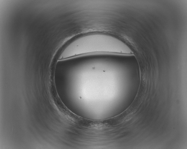 X0000063480540200601201027