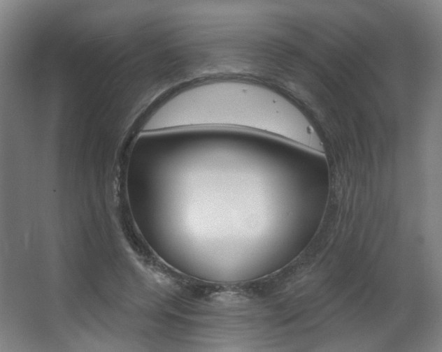 X0000063480544200601201027