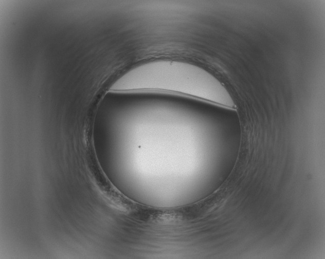 X0000063480546200601201027