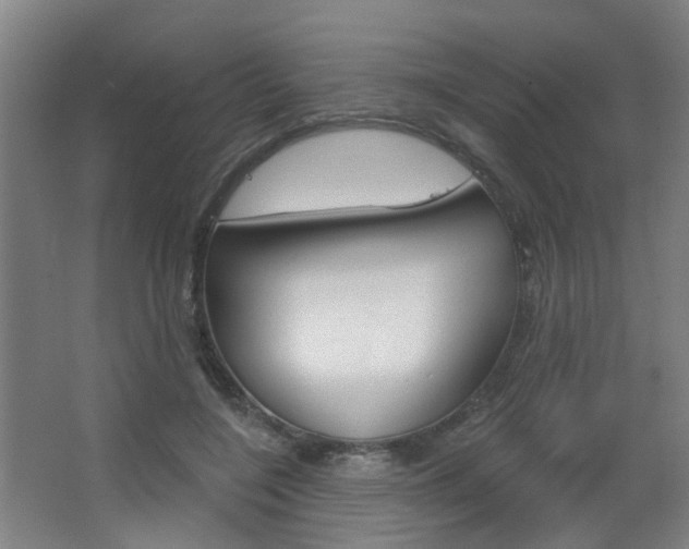 X0000063480548200601201027