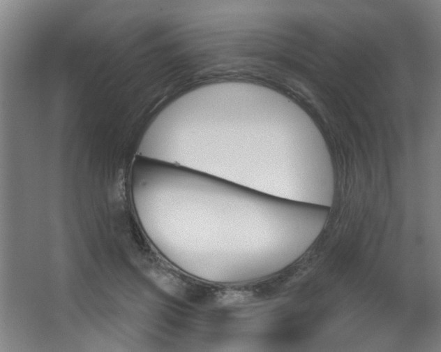 X0000063480549200601201027
