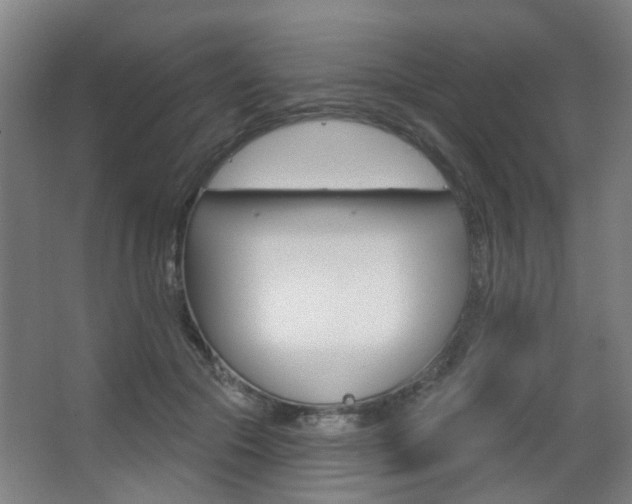 X0000063480553200601201028