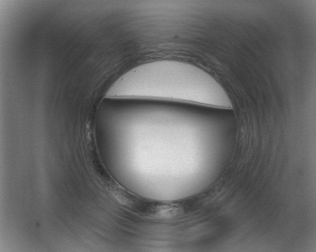 X0000063480555200601201028