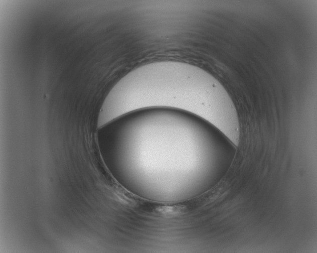 X0000063480558200601201028