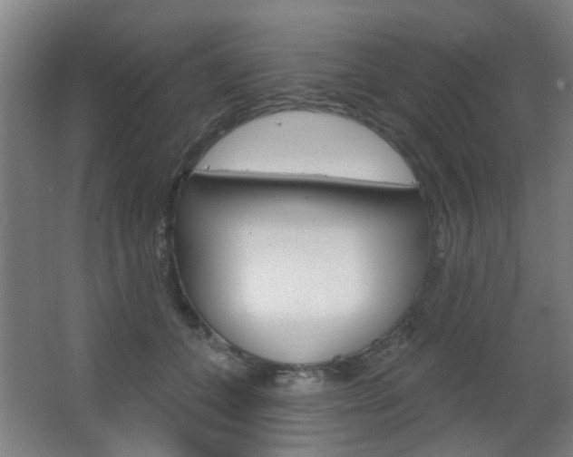 X0000063480559200601201028